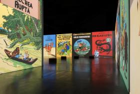 Couvertures d'albums de Tintin dans toutes les langues